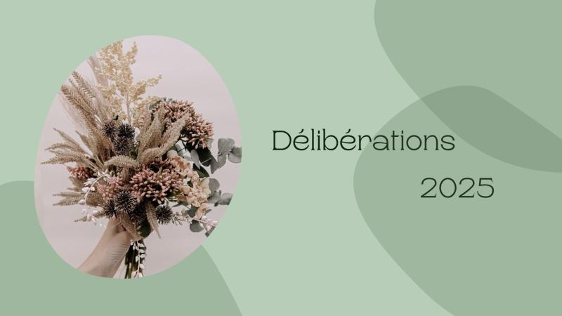 Délibérations 20251107