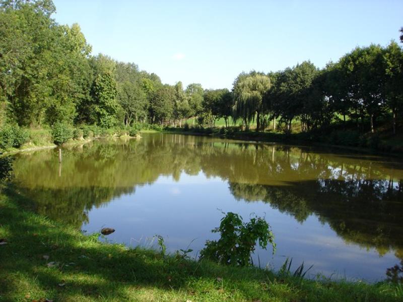 Pêche 