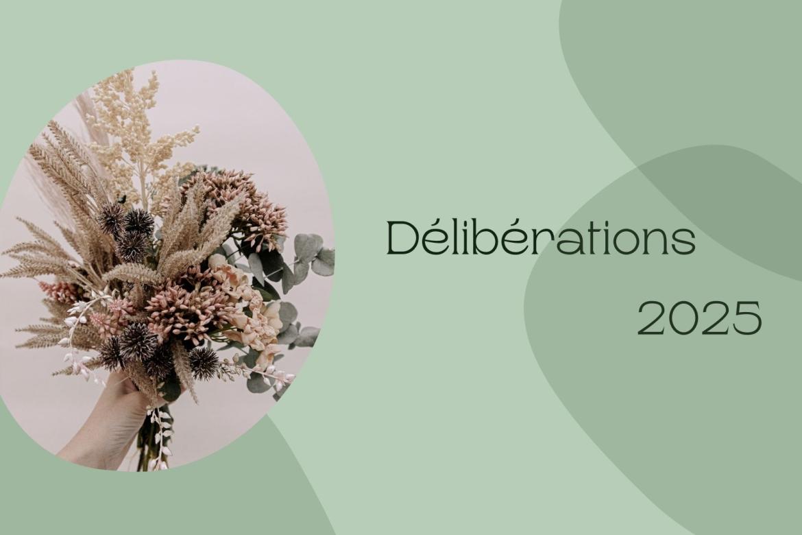 Délibérations 2025
