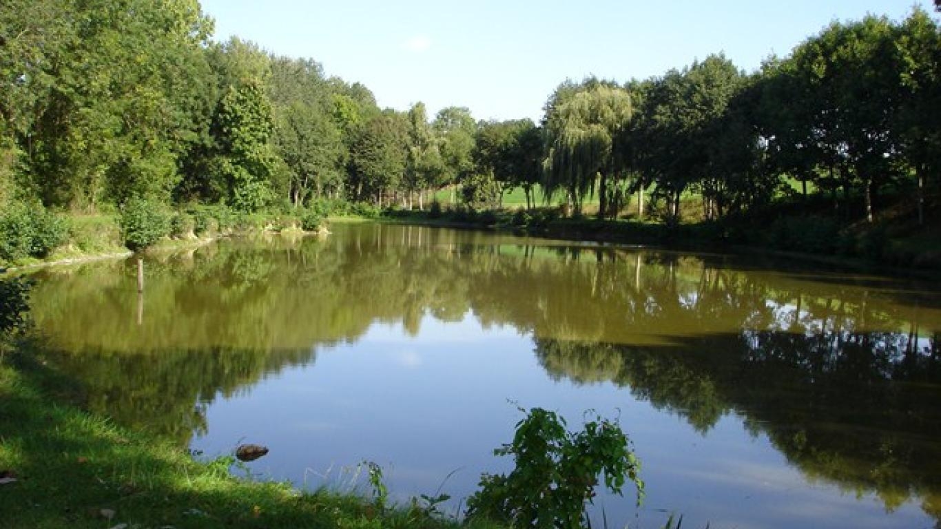 Pêche